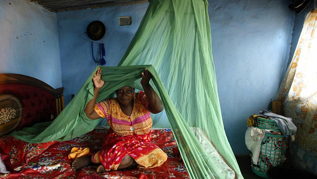 Le Sénégal en bonne voie pour l’élimination du paludisme à l’horizon 2030 (coordonnateur PNLP)