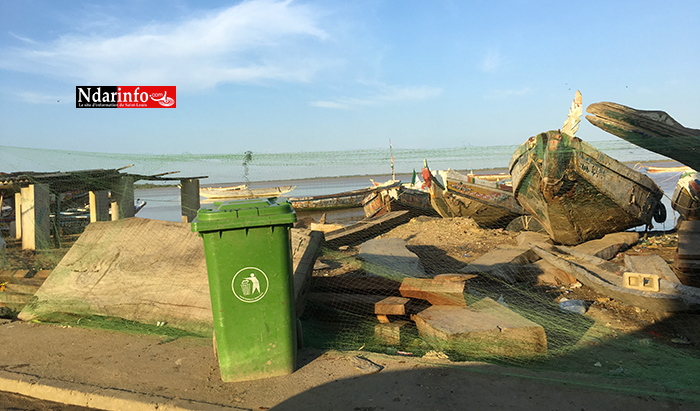 GOXU MBACC : Mansour FAYE nettoie les berges (photos)