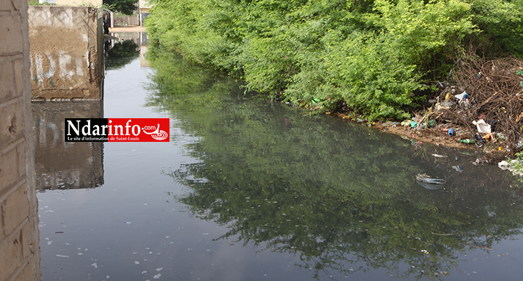 BANGO : Un canal d’irrigation éclate, plusieurs maisons envahies par les eaux (vidéo)