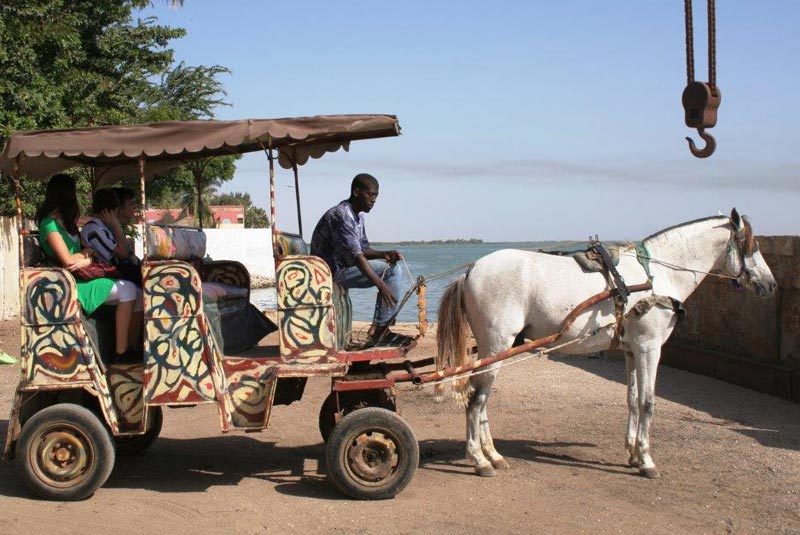 Tourisme : faible taux de visites à Saint-Louis (7 %) Tourisme : faible taux de visites à Saint-Louis (7 %)