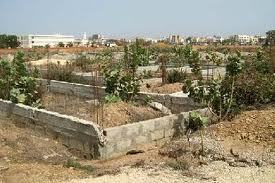 Contribution : Plaidoyer pour une agence sur le foncier au Sénégal. Par Ngouye FAYE, enseignant-chercheur à l'UGB