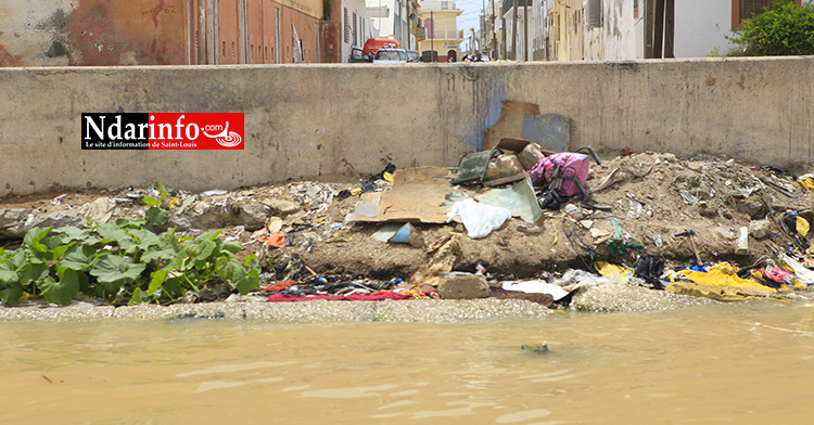 ORDURES : catastrophiques, les berges de Sindoné ( photos )