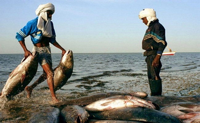 Les pêcheurs sénégalais appelés à respecter la souveraineté mauritanienne sur ses ressources Les pêcheurs sénégalais appelés à respecter la souveraineté mauritanienne sur ses ressources