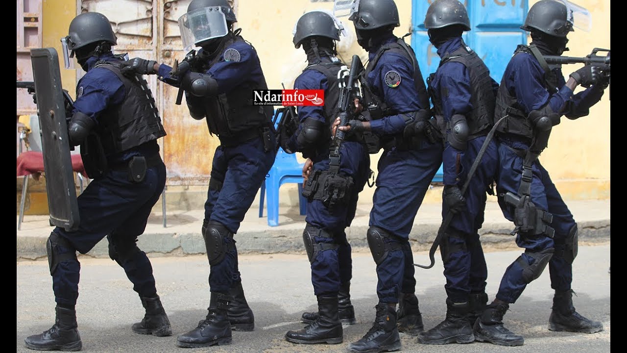 Maintien de la paix : L'armée américaine cite le Sénégal en exemple