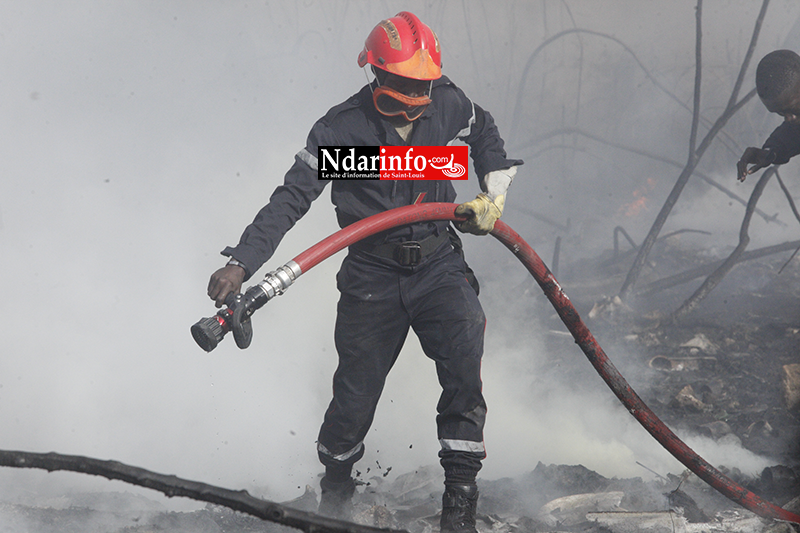 Violent incendie à DAROU : des abeilles attaquent, les sapeurs ripostent ( vidéo&photos )