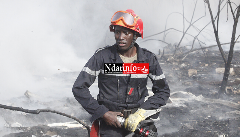 Violent incendie à DAROU : des abeilles attaquent, les sapeurs ripostent ( vidéo&photos )