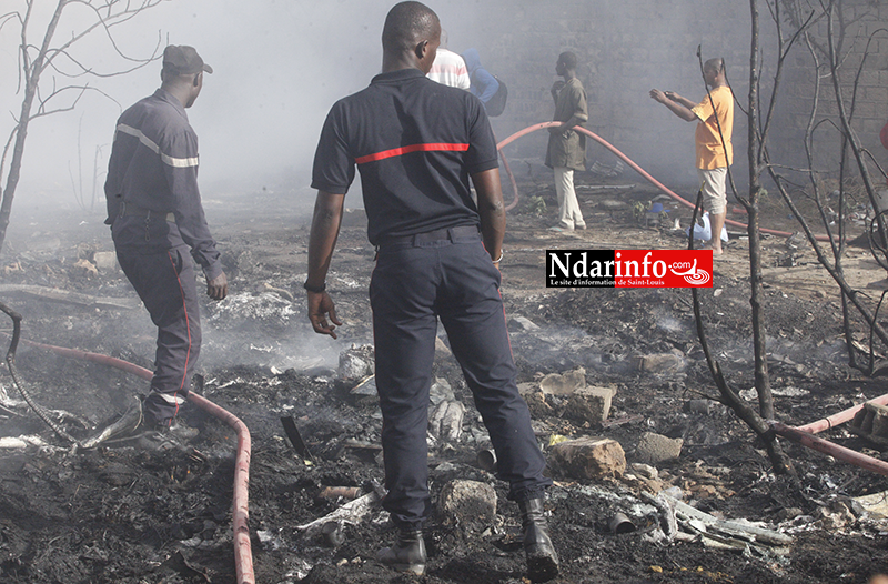 Violent incendie à DAROU : des abeilles attaquent, les sapeurs ripostent ( vidéo&photos )