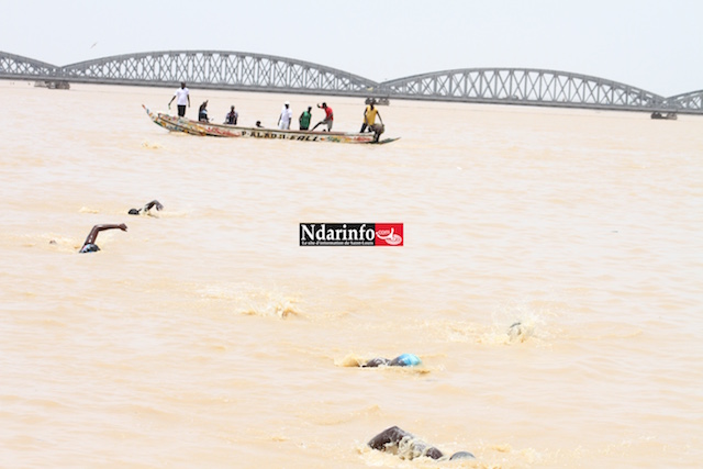 « Apprendre à nager pour sauver des vies au Sénégal » : 1000 jeunes diplômés en sauvetage « Apprendre à nager pour sauver des vies au Sénégal » : 1000 jeunes diplômés en sauvetage