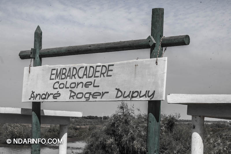 ÉCOLOGIE : Dénombrement des Oiseaux d’Eau du Parc du DJOUDJ (Images exclusives) 