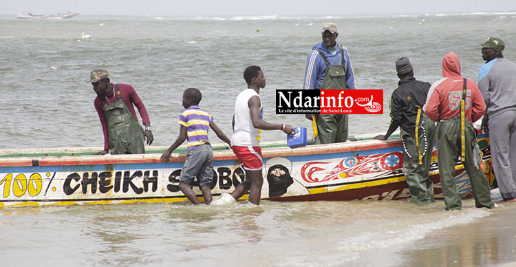 Octroi de Licences de pêche en Mauritanie : Macky SALL annonce une conclusion « très prochaine »