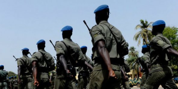 Ziguinchor : deux rebelles mis en prison, des munitions saisies et des champs de chanvre détruits