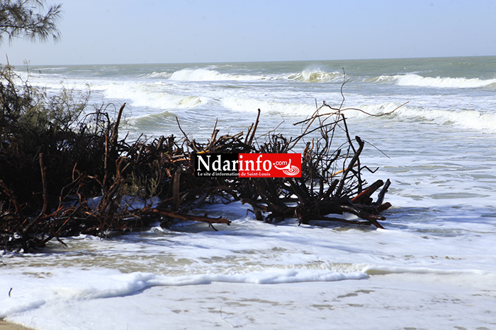 GANDIOL : ouverture d’un forum sur les impacts de la brèche, ce 31 mars à Tassinère.
