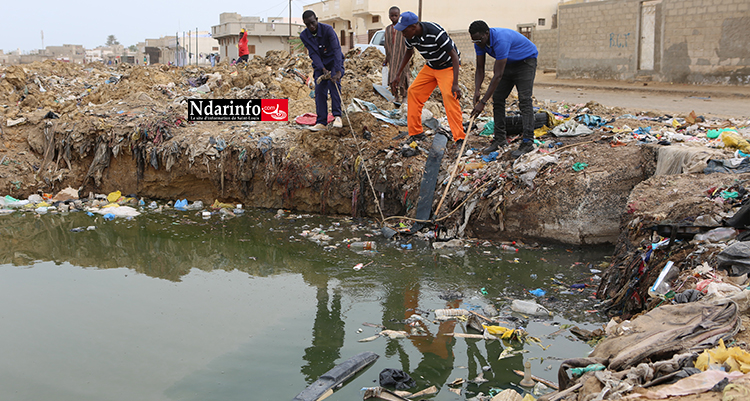 Branchements de fosses sur le réseau d’évacuation d'eaux pluviales : A Pikine 700, un notable sermonne les populations (vidéo) Branchements de fosses sur le réseau d’évacuation d'eaux pluviales : A Pikine 700, un notable sermonne les populations (vidéo)