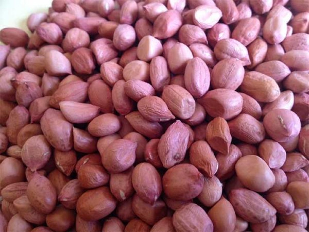 Pourquoi l'arachide du Sénégal ne se vend pas ? Pr El Hadj Moustapha DIOP