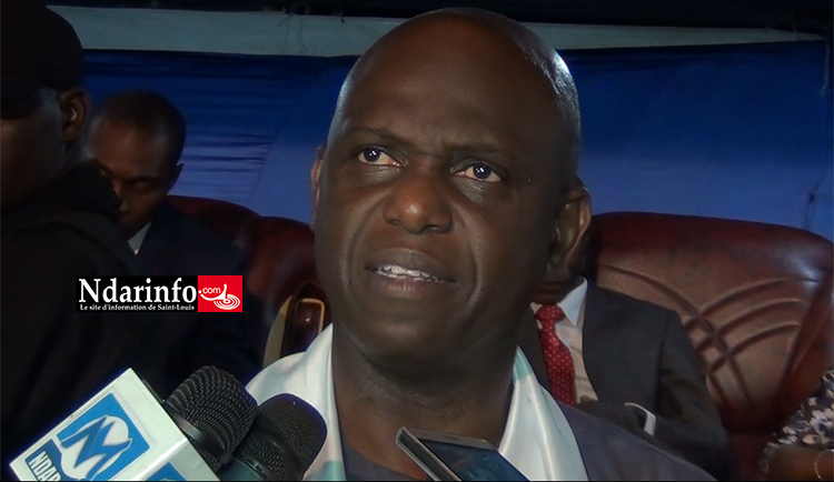 Lancement du Mouvement MAD : Mansour FAYE se défoule sur le professeur Abdoulaye Bathily (vidéo)