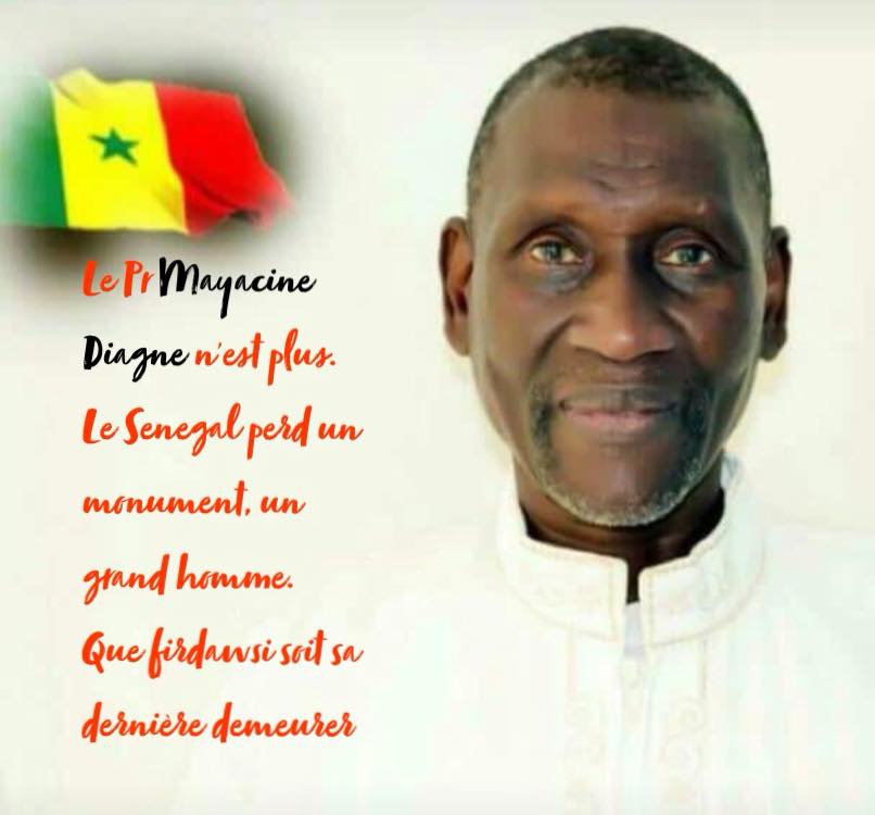 Hommage au Professeur Mayacine DIAGNE. Par Saliou Bobo Kane Diallo