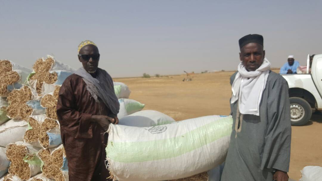 Appui aux éleveurs de Ronkh et Gnith : des pailles d'arachide offertes au bétail ( Photos)