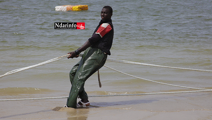 "Des accords de pêche dangereux, qui n'honorent pas le Sénégal"