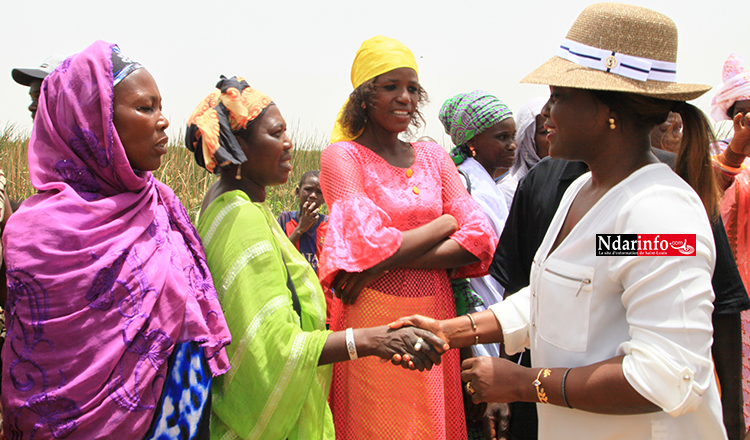 En visite dans la vallée : Marie Angélique MANGA salue le « dynamisme » des agricultrices du WALO (vidéo)