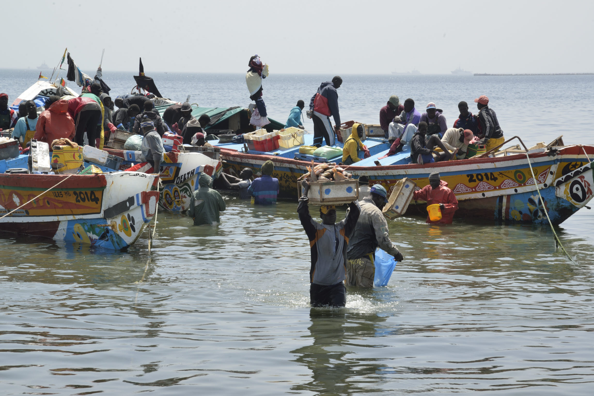 La pénurie de poissons hante le Sénégal