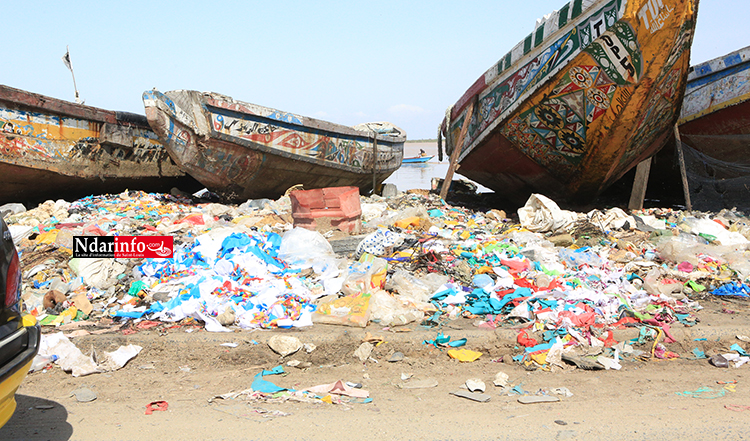 Saint-Louis : les ordures cherchent parrains. Par Makhtar NDIAYE Saint-Louis : les ordures cherchent parrains. Par Makhtar NDIAYE