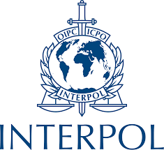 Vente de produits sexuels : Interpol arrête 7 personnes