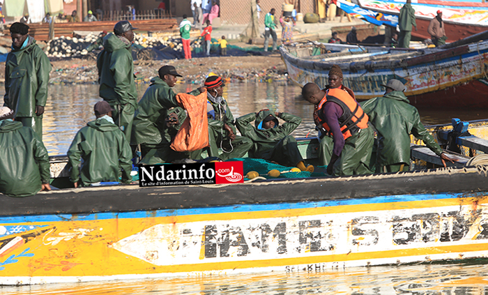 L'accord de pêche enfin finalisé : 400 licences aux Guet-Ndariens pour une capture de 50.000 tonnes de poissons