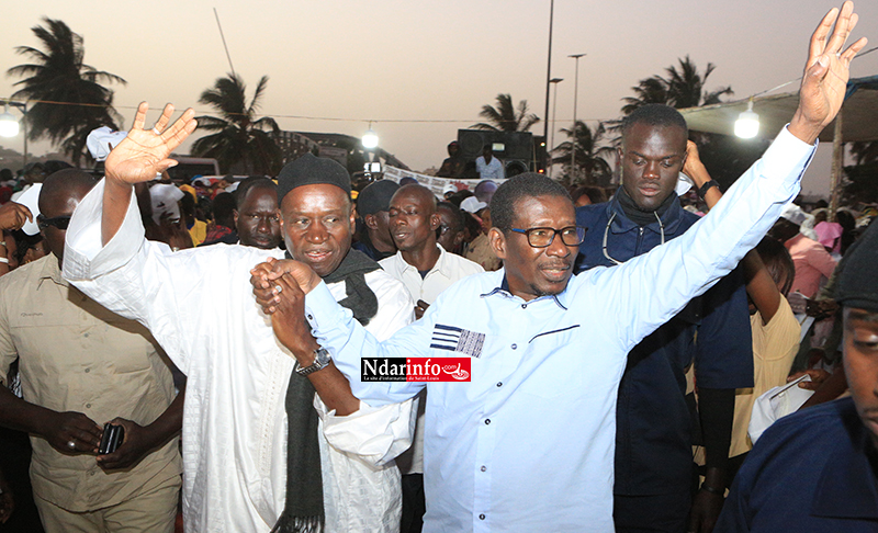 Mary Teuw NIANE et Yérim THIOUB, main dans la main