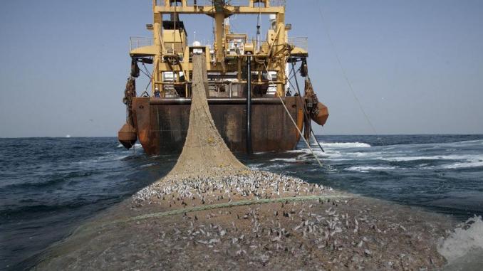 Pêche industrielle : 115 navires dans les eaux sénégalaises