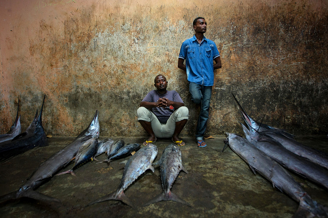 Interdiction de la main-d’œuvre étrangère en Mauritanie : Mouvement de protestation dans la filière de la pêche artisanale
