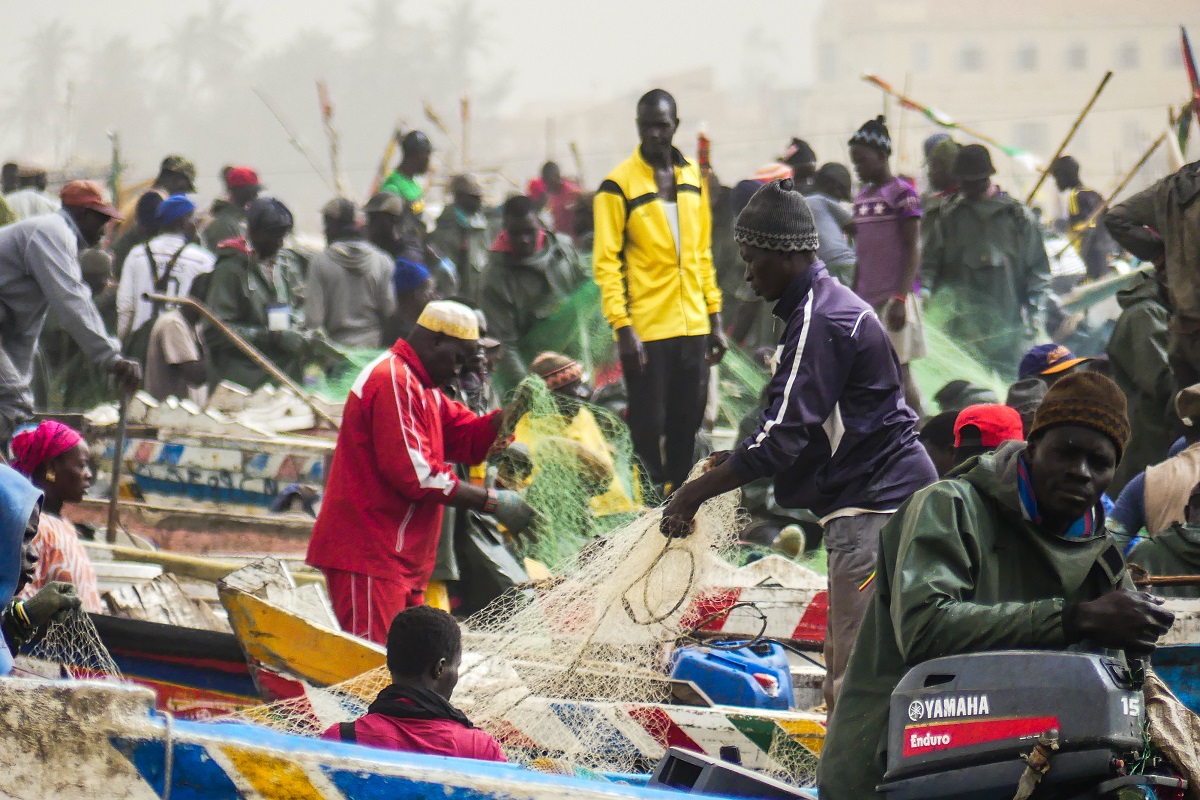 Les 350 pêcheurs refoulés de la Mauritanie "sont dans une situation irrégulière", selon le directeur des pêches