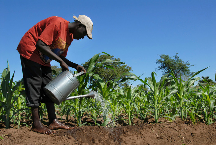 L’agriculture intelligente, une réponse aux effets des changements climatiques, selon un officiel