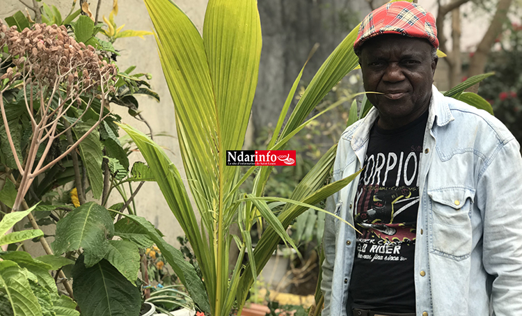 Abdou SECK, arboriculteur fruitier : " Partager mon Savoir avec les jeunes générations, c'est ma plus grande passion " Abdou SECK, arboriculteur fruitier : " Partager mon Savoir avec les jeunes générations, c'est ma plus grande passion "