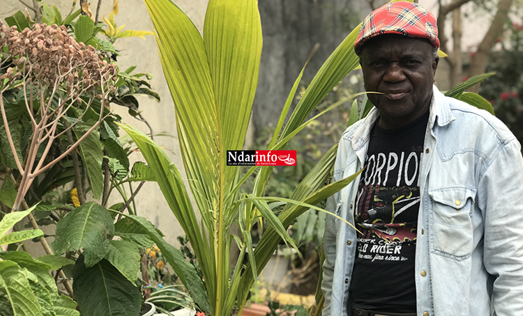 ​Abdou SECK, arboriculteur fruitier : " Partager mon Savoir avec les jeunes générations, c'est ma plus grande passion "