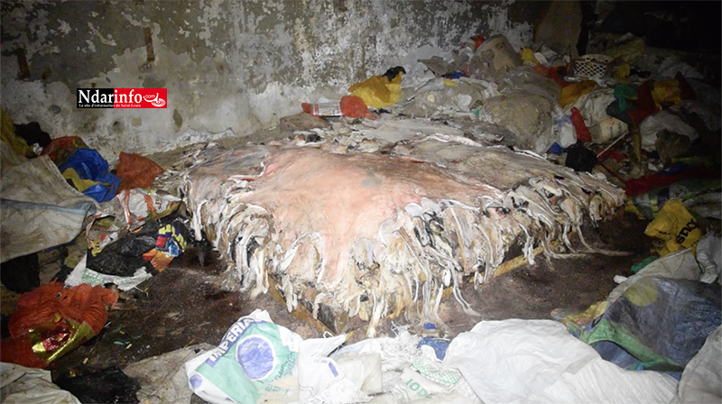 ​Décor lugubre au marché NDAR : des hordes de rats, des toits cassés et des amas de déchets … (vidéo)
