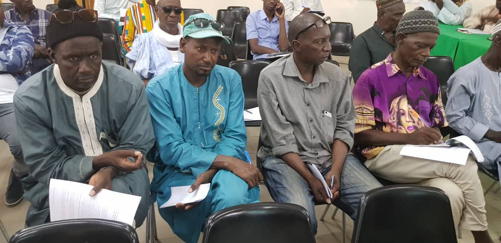 Le Kilo du Riz Paddy fixé à 130 FCFA