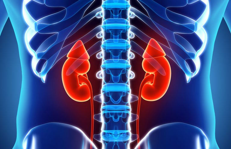 Hypertension et maladies rénales : un médecin prône une révision des habitudes culinaires Hypertension et maladies rénales : un médecin prône une révision des habitudes culinaires