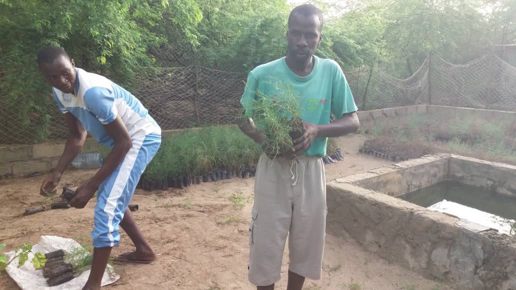 Lutte contre l'avancée de la mer : reboisement de plus de 2000 plants sur la zone du PNLB (photos)