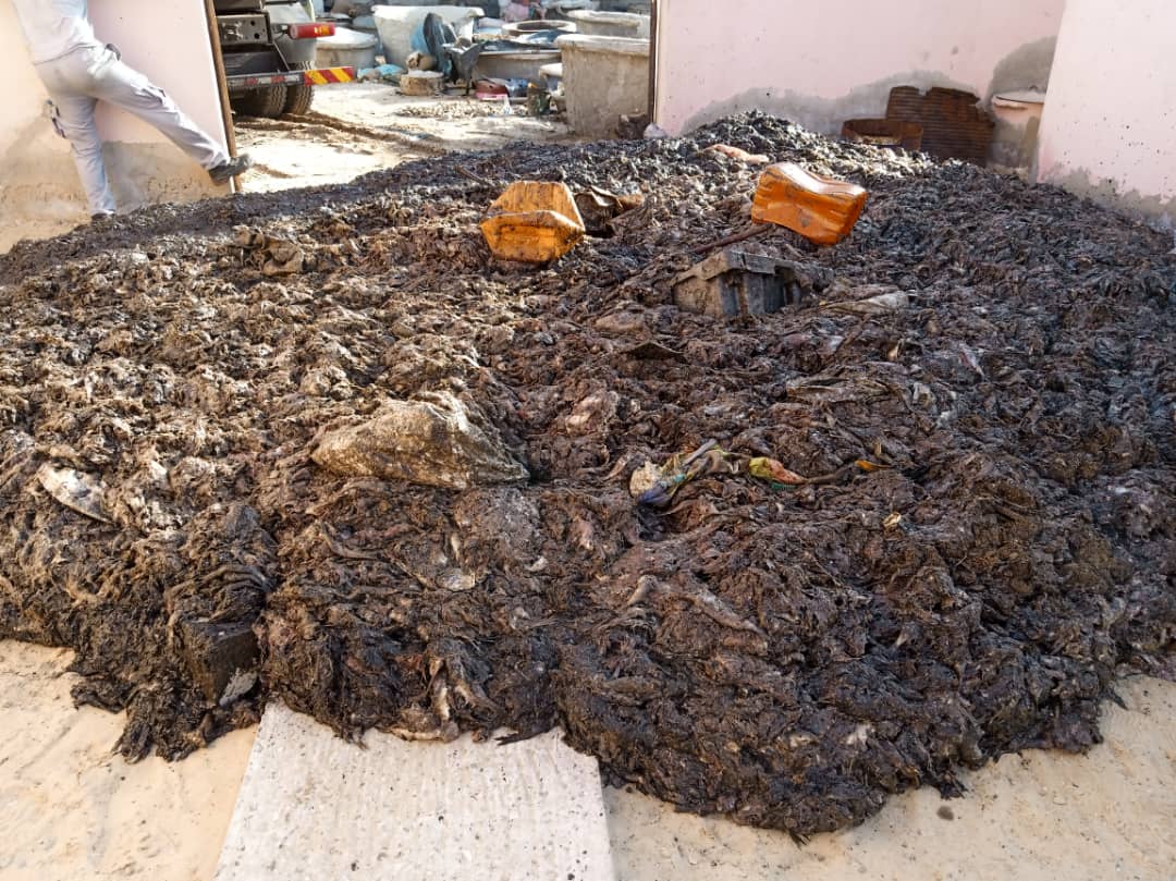 Les poissons morts déversés à l’entrée de Saint-Louis produiront 500 m3 de biogaz ... (photos)