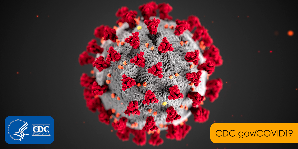 Enfin une réponse sur la durée de vie du coronavirus ...