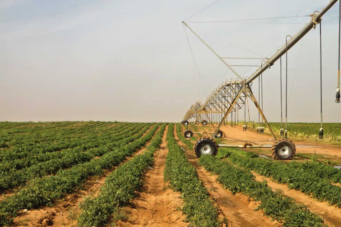 La donne agricole. Par Mamadou NDIAYE La donne agricole. Par Mamadou NDIAYE