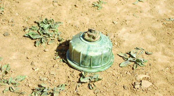 8 militaires blessés par l'explosion d'une mine