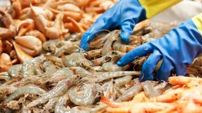Chine : Le coronavirus découvert sur des emballages de fruits de mer (autorité)