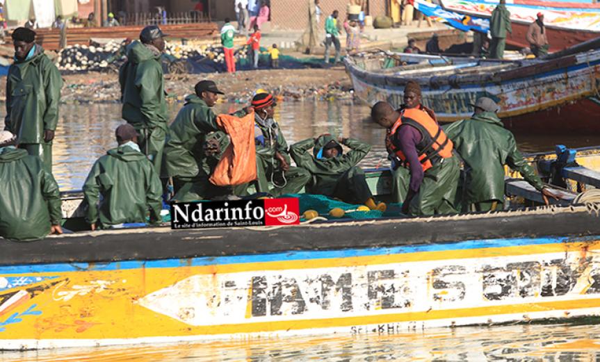 Licences de pêche : Les acteurs interpellent la tutelle et peaufinent un plan d'action