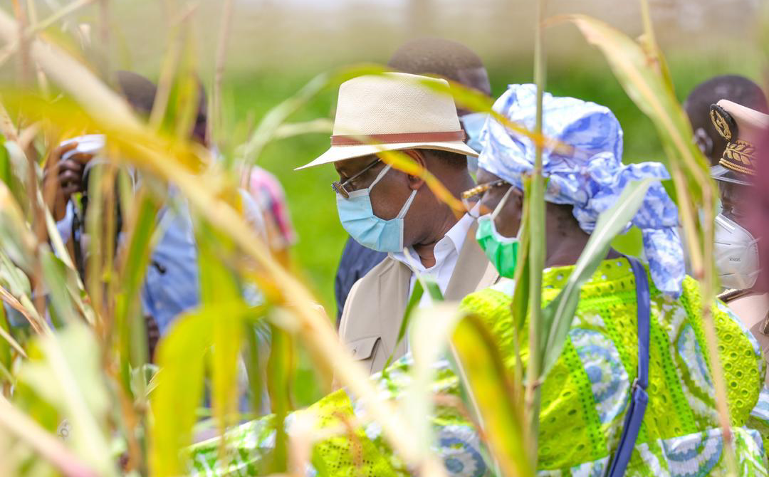 Macky SALL annonce 300 milliards FCFA pour la phase 2 du Pudc