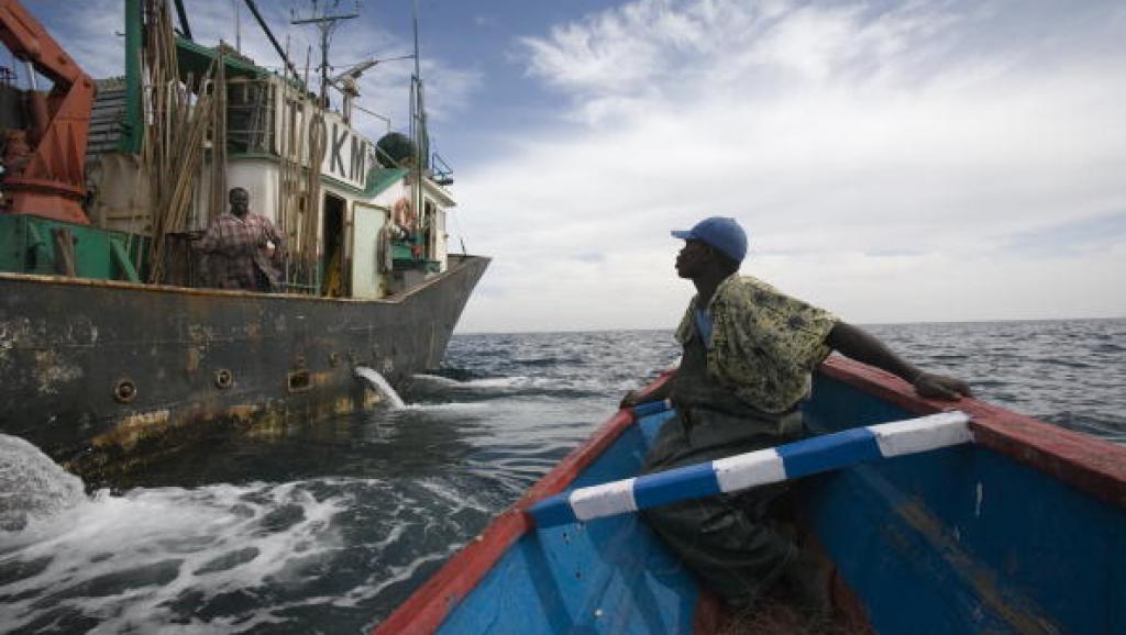 L’ONG Greenpeace dément le ministre de la Pêche