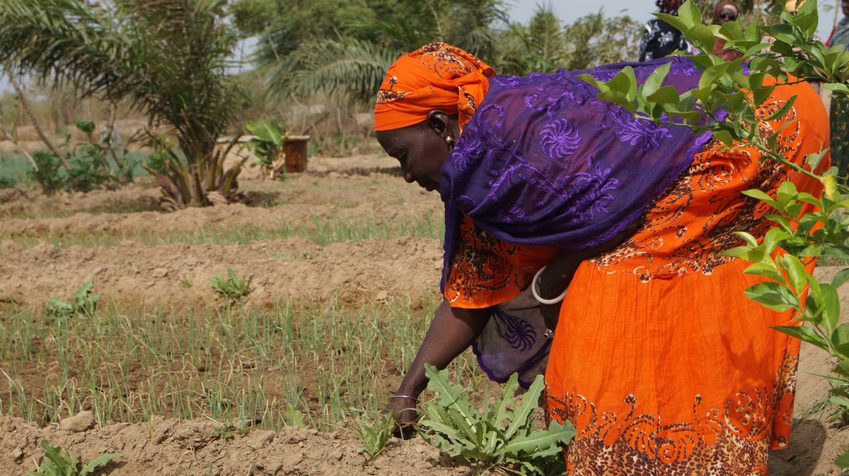 Un officiel reconnait l’urgence de faciliter l’accès des femmes rurales à l’énergie