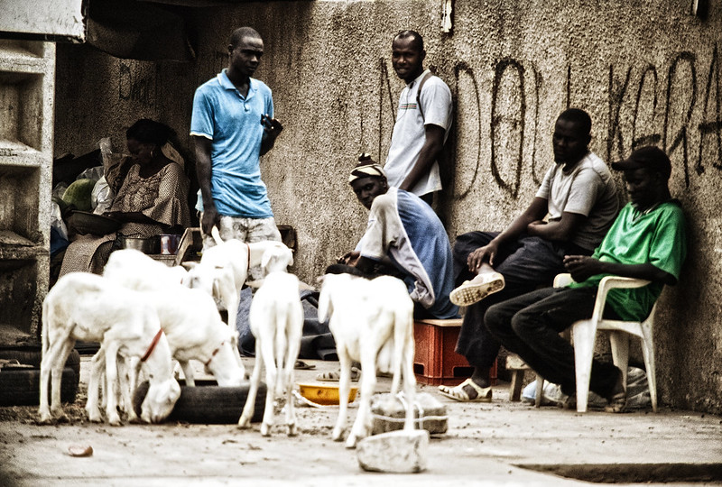 Record de chômeurs : Le Sénégal classé 3e pays dans le monde (Rapport OIT)