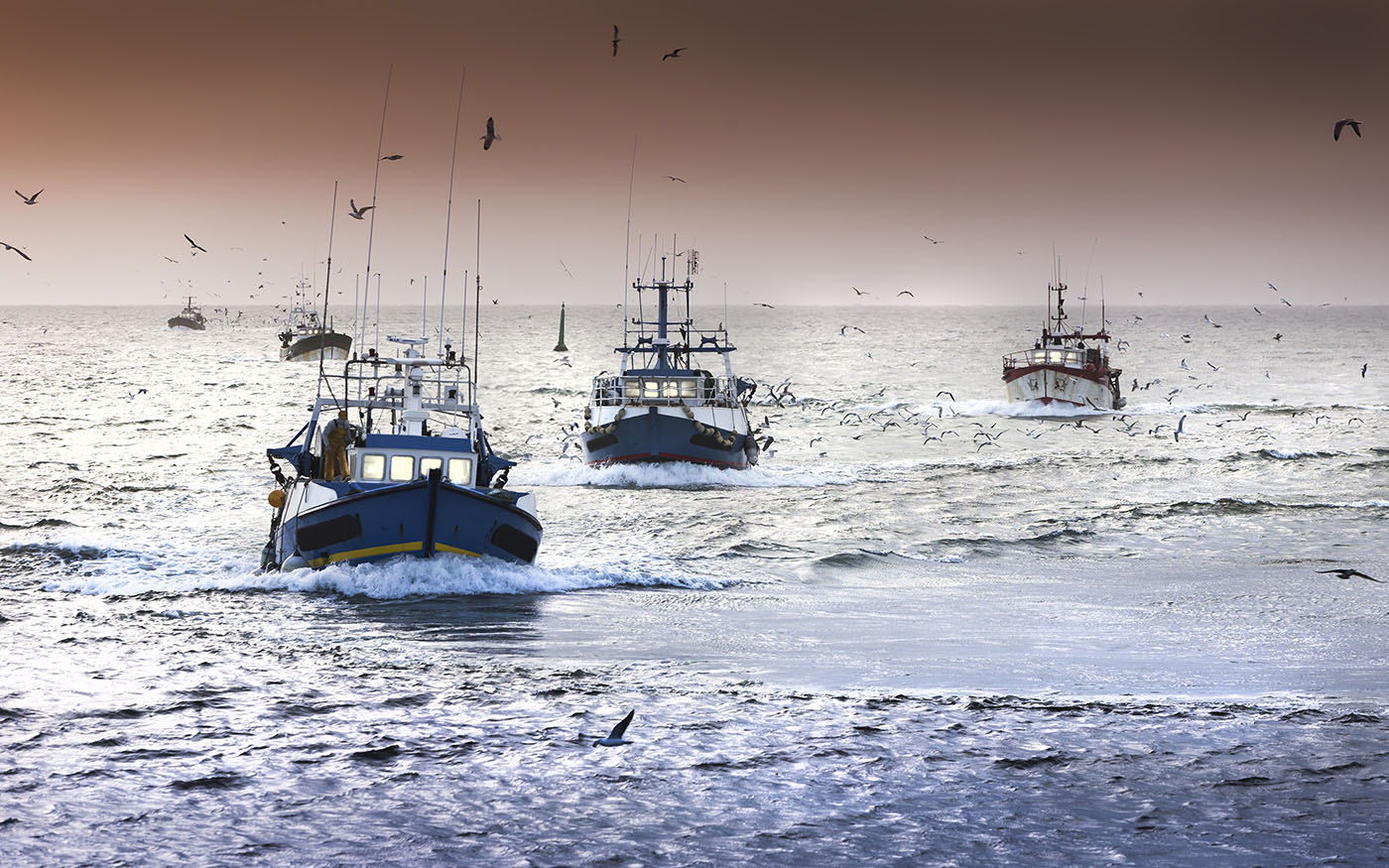 Pillage ressources halieutiques: l'UE veut un nouveau partenariat de 10.000 tonnes de poisson par an