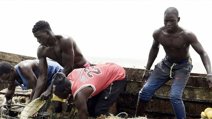 Maladie mystérieuse : quatre substances ont bel et bien été détectées en mer